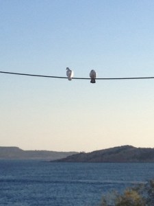 Picture by E Writinks